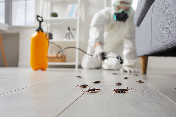 Post-Treatment Bed Bug Interceptor Monitoring in Lake Geneva