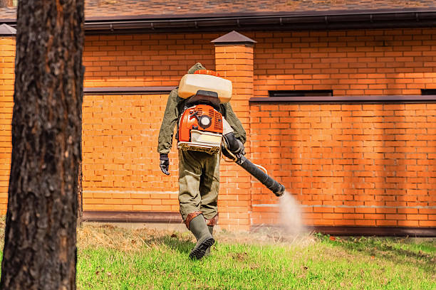 Bed Bug Clearance Verification and Documentation in Lake Geneva